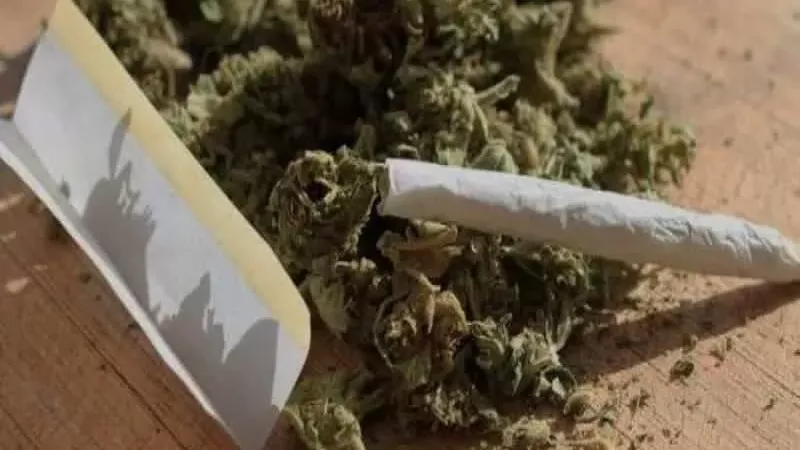 اهمية الاعتراف في قضايا المخدرات