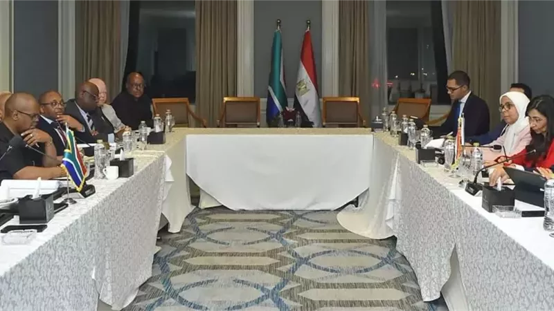 وزير الاستثمار يلتقى وزير التجارة بدولة جنوب أفريقيا لبحث سبل تعزيز العلاقات
