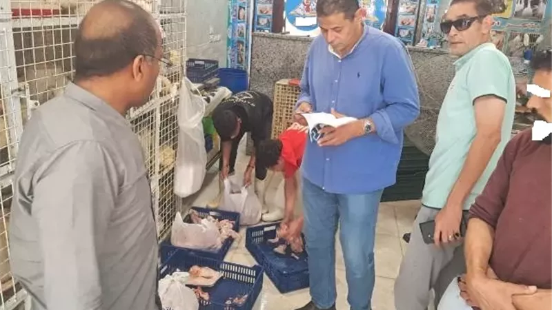 جهاز بدر والصحة يضبطان 160 لحوم فاسدة وأغذية بالصراصير والحشرات.. صور