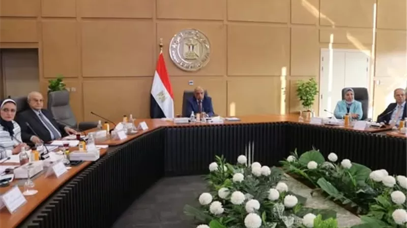 45 مليار جنيه لتطوير شبكة نقل الكهرباء وخفض الفقد الفني إلى 3.40%