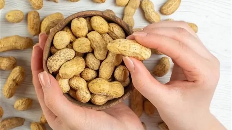 الفول السوداني غير المملح يحسن وظائف الدماغ لدى كبار السن
