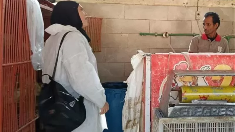 الطب البيطرى فى مدينة بدر تشن حملة على محلات الدواجن للوقاية.. بالصور