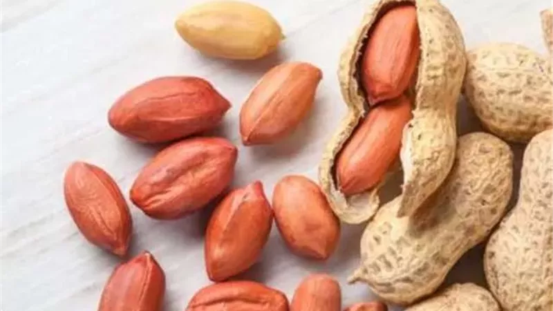 دراسة تكشف: تناول السوداني لا يؤدي لزيادة الوزن بشرط واحد