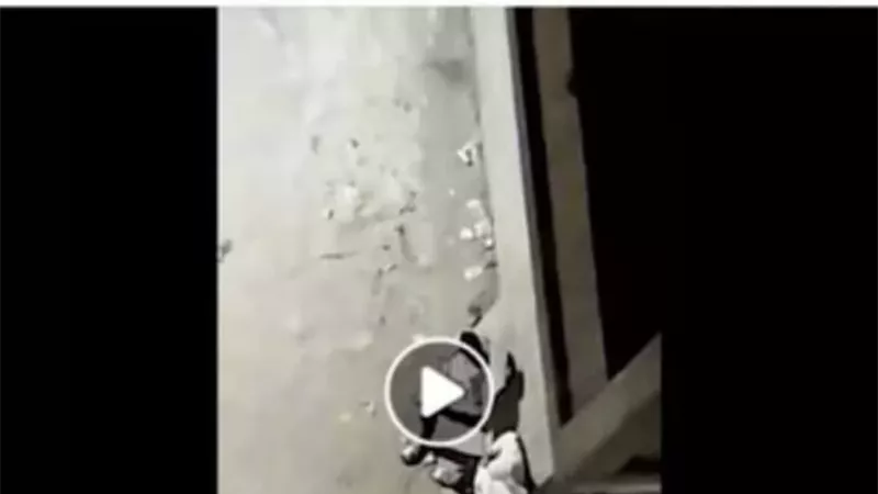 ضبط 3 أشخاص روجوا لمواد مخدرة عبر مقطع فيديو بالقليوبية