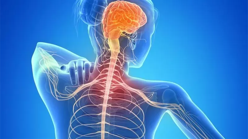 إشارات مبكرة في الدماغ قبل ظهور أعراض التصلب المتعدد