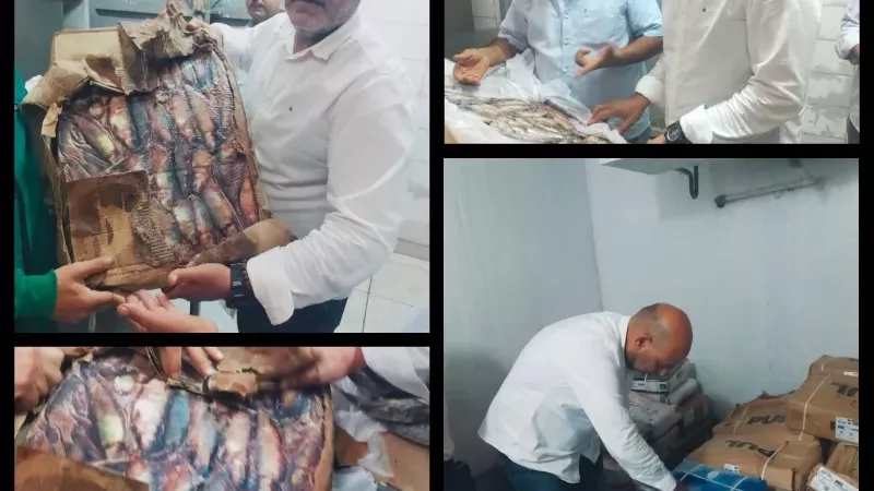 محافظ القليوبية: ضبط 2 طن لحوم ودواجن وأسماك غير صالحة للإستهلاك
