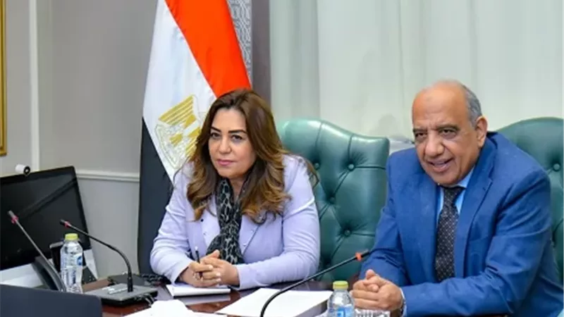 خطة بين الكهرباء والبيئة لدمج مشروعات الطاقة المتجددة
