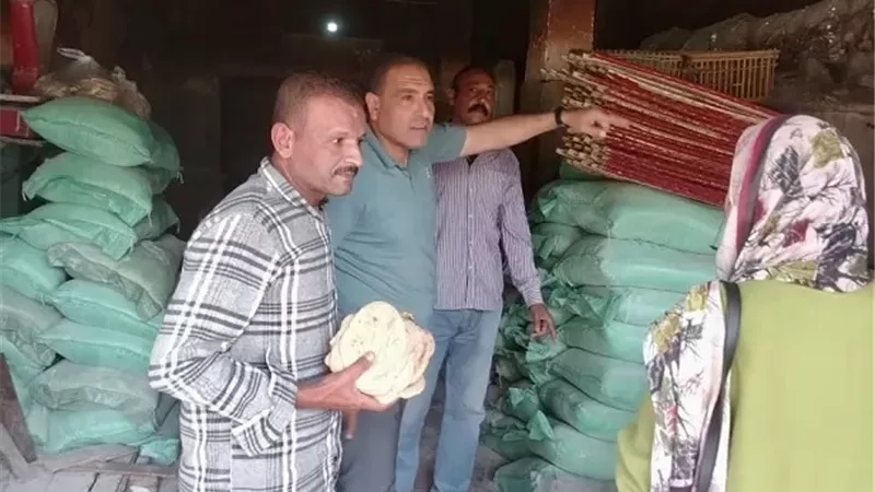 حملة كبرى بالإسماعيلية تضبط مخالفات السلع والخبز