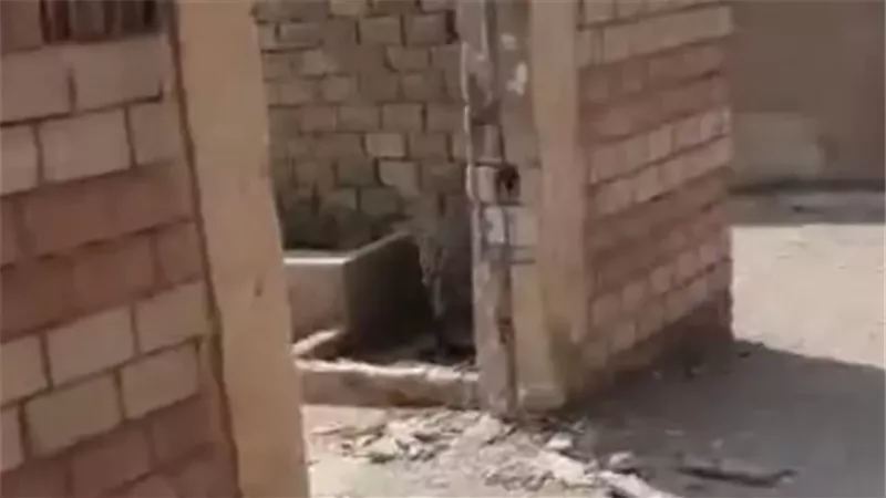 ضبط المتهم بسرقة أبواب المقابر في بلبيس