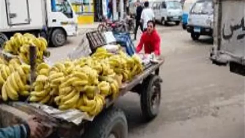حملات مكبرة لإعادة الانضباط للشارع الشرقاوى