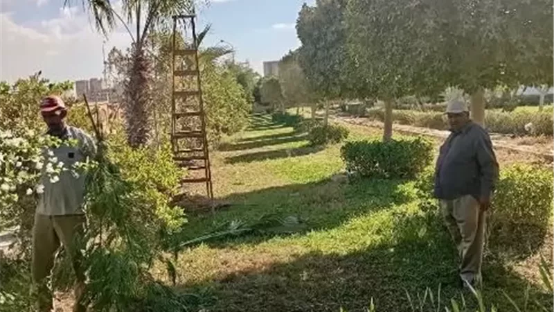 توسعات في المسطحات الخضراء بالحي الصناعي الأول بالسويس الجديدة