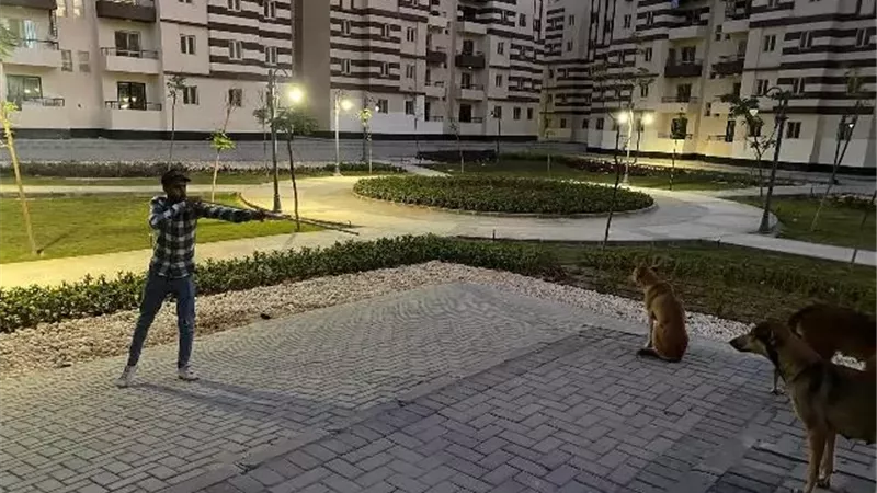 جهاز حدائق العاصمة يبدأ فى حل رعب المواطنين من الكلاب بشكل علمى.. صور