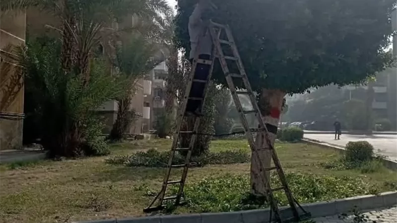 جهاز مدينة العبور يواصل رفع كفاءة المسطحات الخضراء وتحسين الخدمات