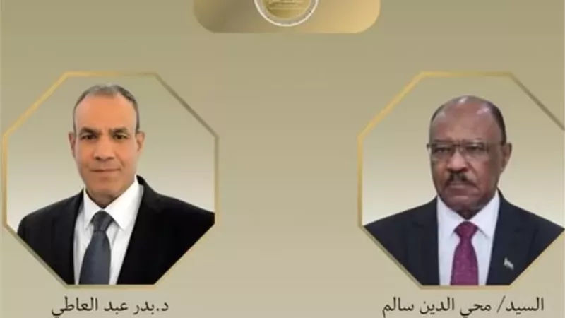 وزير الخارجية يؤكد رفض مصر أي محاولات لتقسيم السودان أو الإضرار باستقرارها