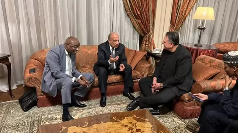 عصمت: الكهرباء والطاقة المتجددة شريك فعال في التنمية المستدامةبأفريقيا