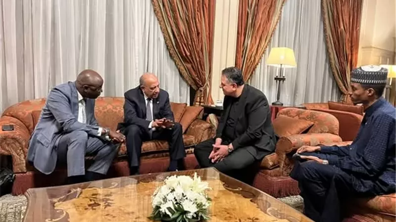 وزير الكهرباء يبحث مع نظيره التشادي تعزيز التعاون في الطاقة