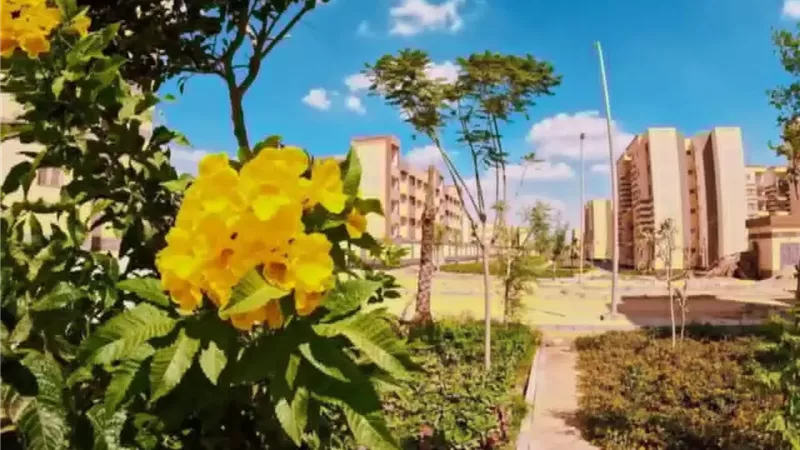 قريباً.. تشغيل خدمة شبكات الاتصالات الأرضية 