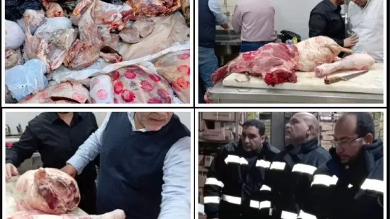 حملة رقابية موسعة بالقليوبية تسفر عن ضبط 75 طن لحوم فاسدة