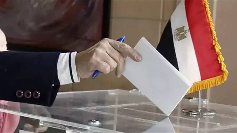 هل تؤجل الطعون الانتخابات.. الهيئة الوطنية توضح الحقيقة