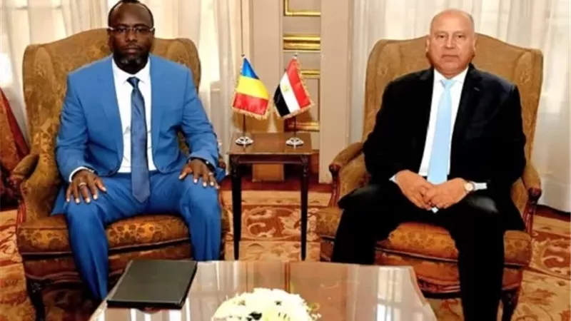 توسيع التعاون المصري–التشادي في النقل والصناعة والمنتجات الحيوانية
