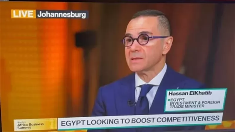 الخطيب: نستهدف استعادة تدفقات الاستثمار الأجنبي المباشر رغم التحديات