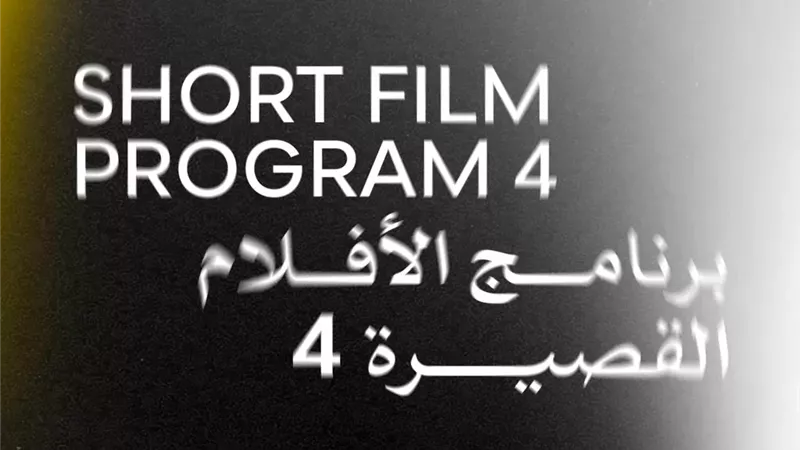اليوم.. عرض ستة أفلام قصيرة ضمن فعاليات الدورة 46 لمهرجان القاهرة