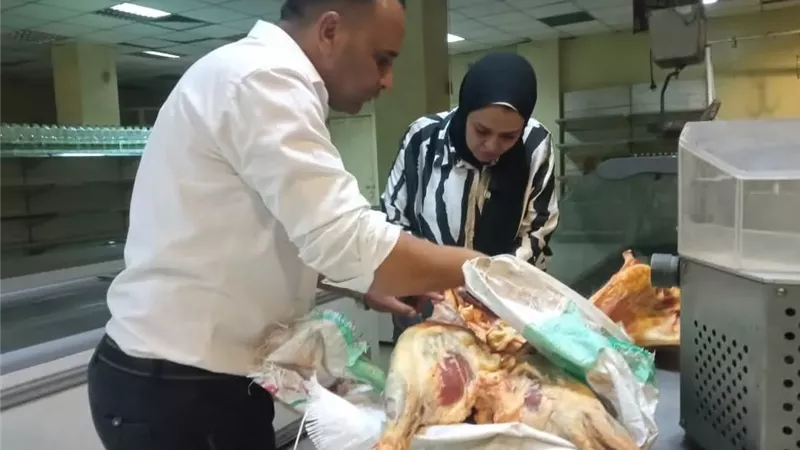صحة المنيا تُحبط بيع لحوم ضأن فاسدة وتُحرر21محضرًا لسلامة الغذاء