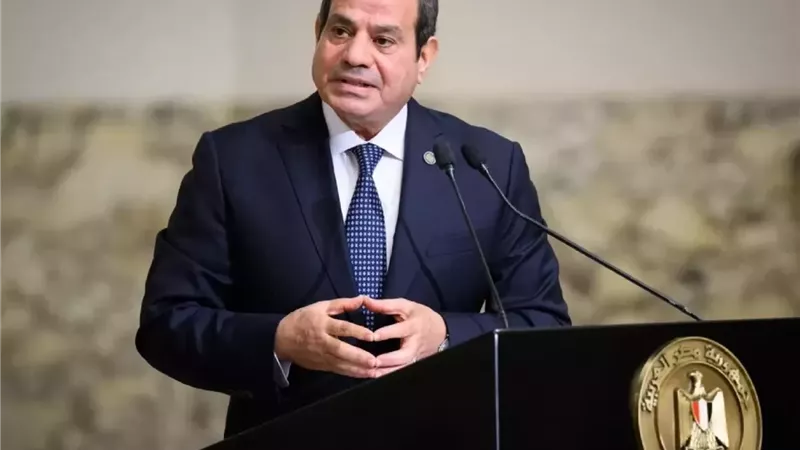 الرئيس السيسى: 30 مليار جنيه حجم الدعم المقدم للبوتاجاز فقط