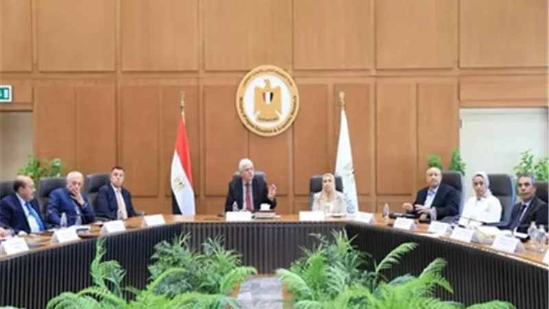 أيمن عاشور يترأس اجتماعا تنسيقيا لأفرع الجامعات الأجنبية بمصر