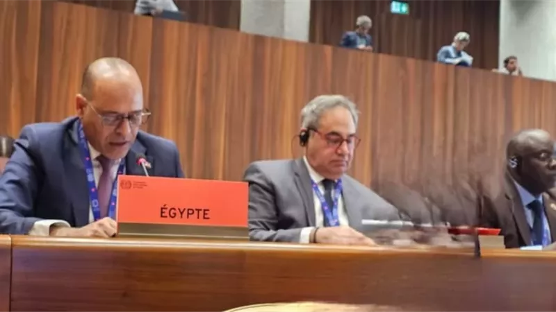 مصر تؤكد دعمها للحقوق الفلسطينية خلال اجتماعات العمل الدولية