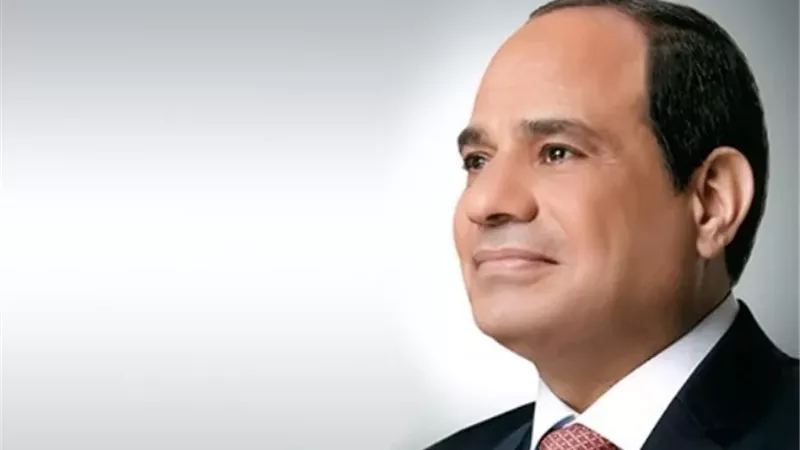 الرئيس السيسى: حل الدولتين السبيل الوحيد لتحقيق السلام الدائم