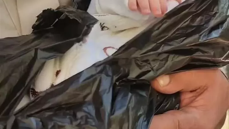 أم بلا قلب تلقى بمولودتها بأكوام القمامة لإخفاء جريمتها