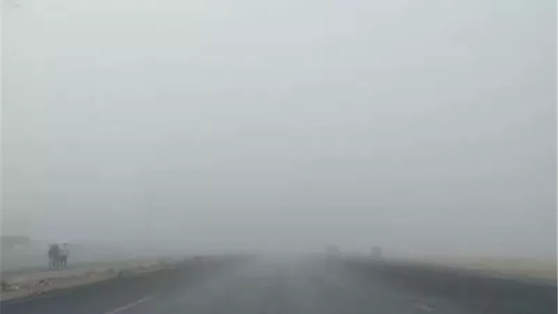 غلق الطريق الصحراوي بالإسكندرية بسبب الشبورة الكثيفة