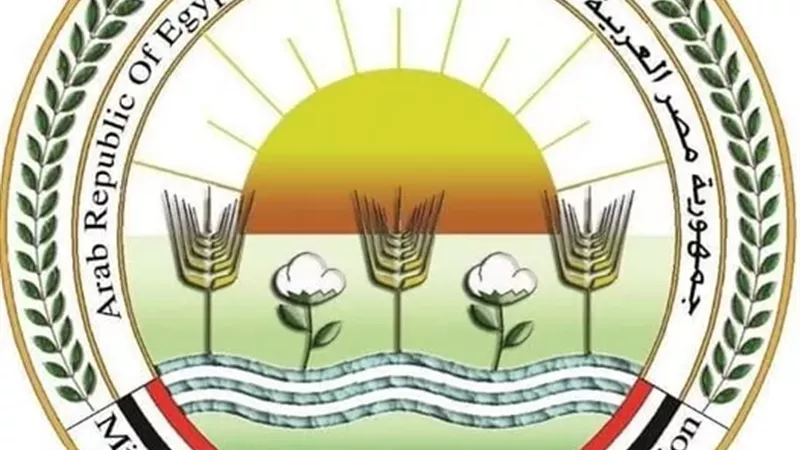 الزراعة: المشروع القومي لإحياء البتلو ساهم في تحقيق طفرة في إنتاج مصر من اللحوم والألبان