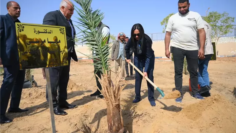 وزيرة التضامن توجه باستصلاح ٥ آلاف فدان وزراعتهم بالنخيل