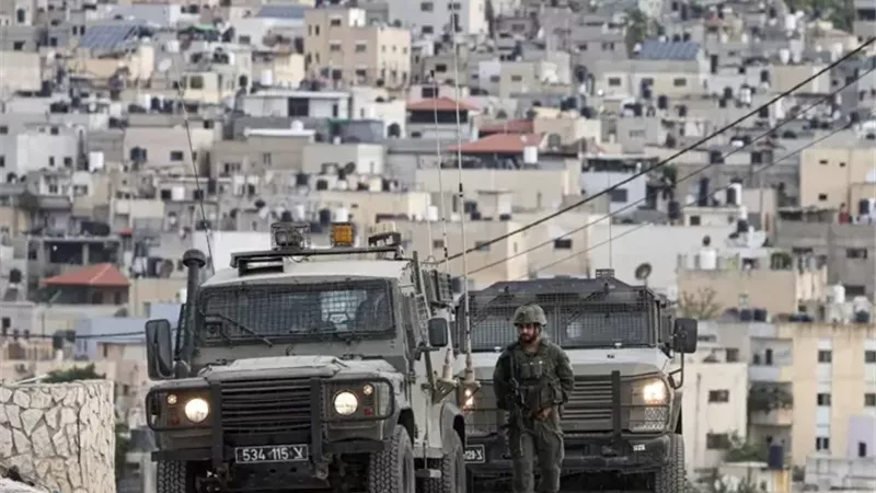 مستوطنون يحرقون أراضي زراعية شمال رام الله