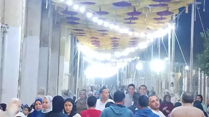 إقبال كبير في الفترة المسائية للانتخابات في الدقهلية