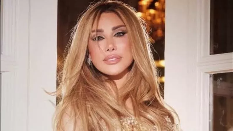 موعد وتفاصيل حفل نجوى كرم القادم