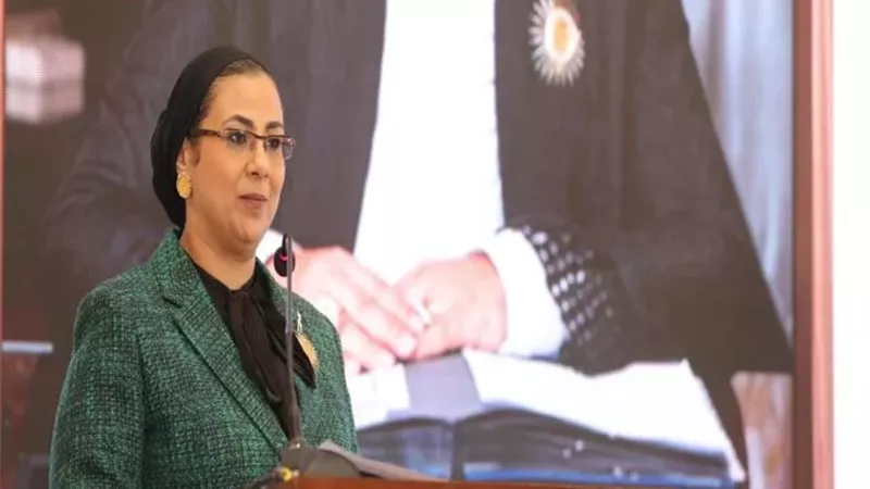 أمل عمار: القيادة السياسية أولت اهتماما كبيرا بقضية مناهضة العنف ضد المرأة