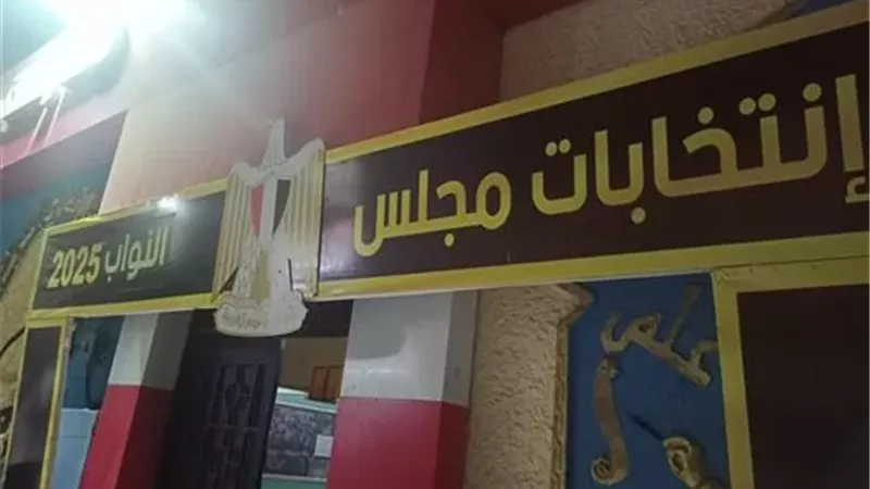 تزايد أعداد الناخبين بلجان المطرية قبل غلق باب التصويت بانتخابات النواب