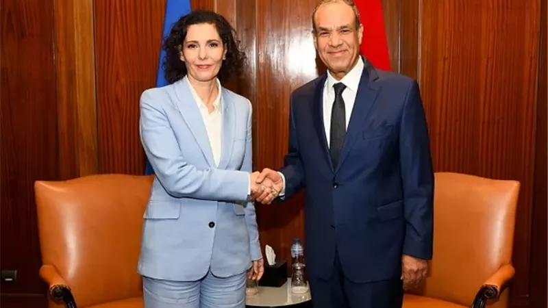 وزير الخارجية: مصر تتحمل أعباء استضافة ملايين الأجانب بسبب الأزمات في المنطقة
