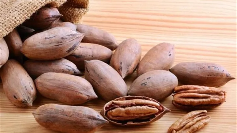 دراسة.. جوز البقان يعزز صحة القلب ويخفض الكوليسترول