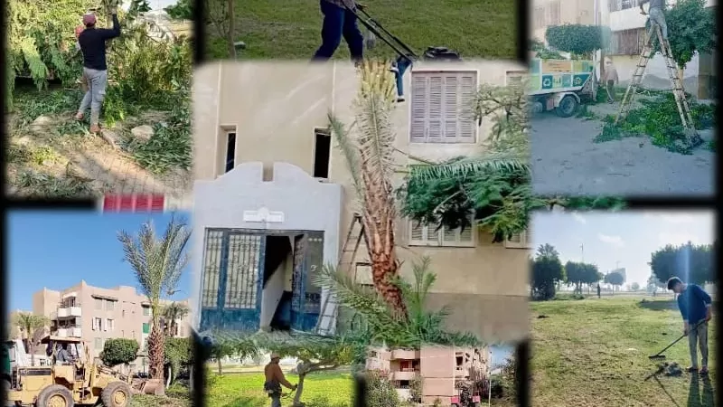 جهاز مدينة العبور يواصل رفع كفاءة المسطحات الخضراء وصيانة الزراعة بجميع الأحياء