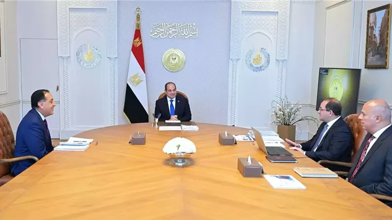 الرئيس السيسي يؤكد ضرورة العمل على زيادة الاستثمارات الخاصة