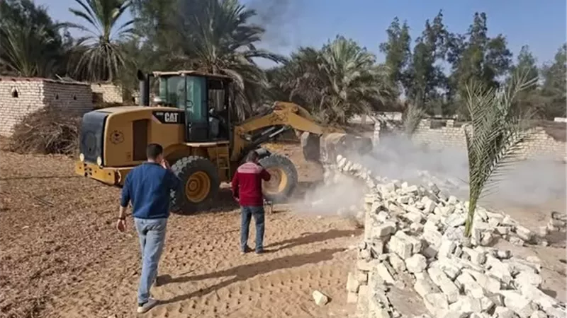 الإسماعيلية.. إزالة 22 تعديا على الأراضي الزراعية في القصاصين