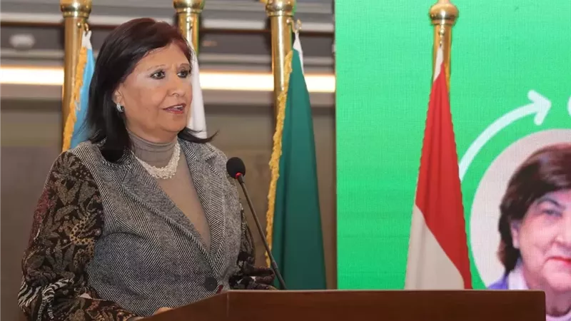 القومي للمرأة يشارك في فعاليات ورشة عمل إقليمية حول 