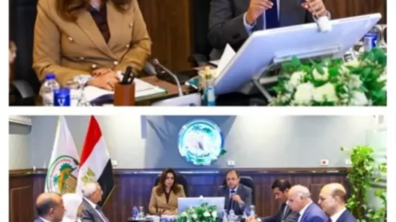 اجتماع هيئة تنمية الصعيد يشهد إطلاق الموقع الإلكتروني الجديد