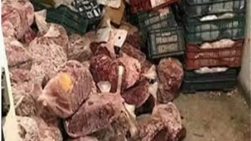 ضبط 6 طن و700 كجم دواجن مجهولة المصدر، ومنتهية الصلاحية بالشرقية