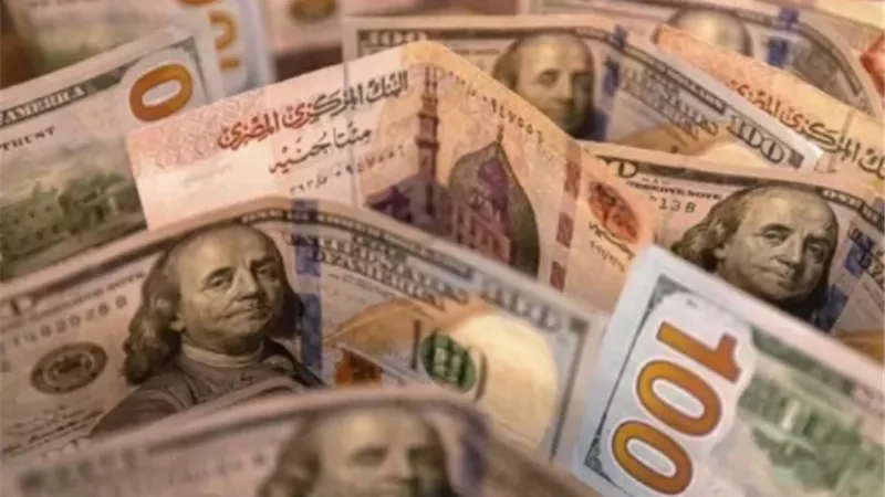 سعر الدولار اليوم 2 ديسمبر 2025.. استقرار نسبي في التعاملات الصباحية