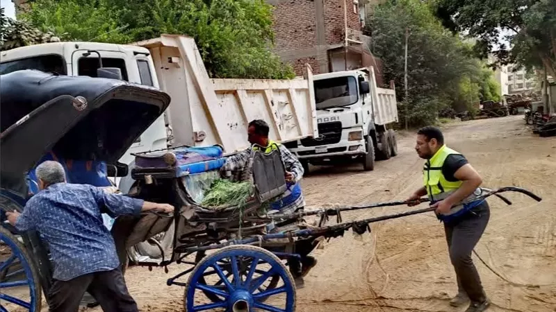 التحفظ على عربات الحنطور المخالفة فى مدينة الأقصر